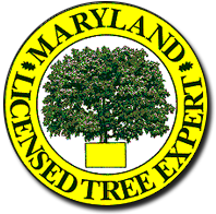 Maryland Licensed Tree Expert
